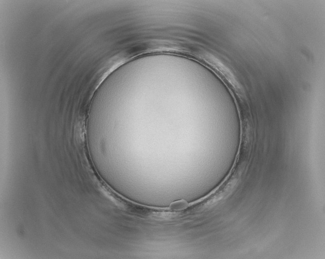 X0000115191377200911181439