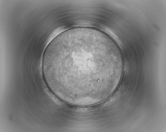 X0000115191378200911181439