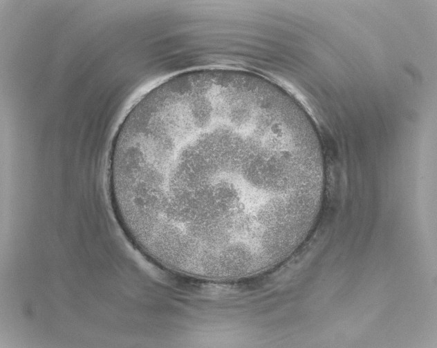 X0000115191379200911181439