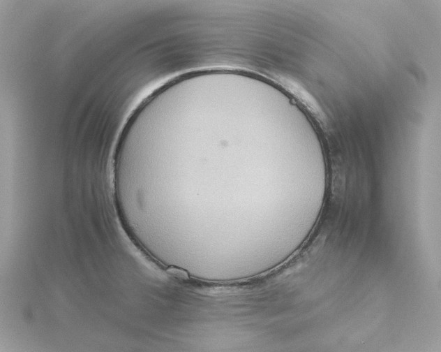 X0000115191380200911181439