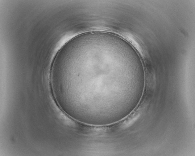 X0000115191381200911181439