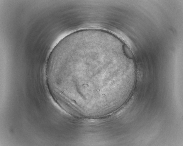 X0000115191382200911181439