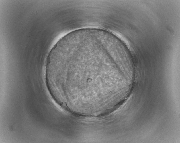 X0000115191383200911181439