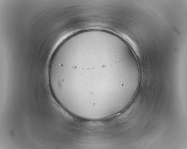 X0000115191384200911181439