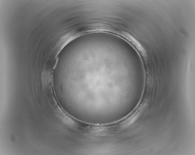 X0000115191385200911181439