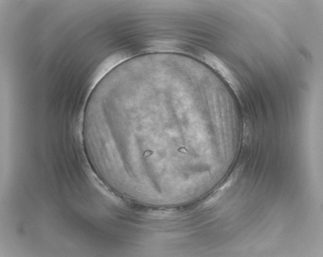 X0000115191386200911181439