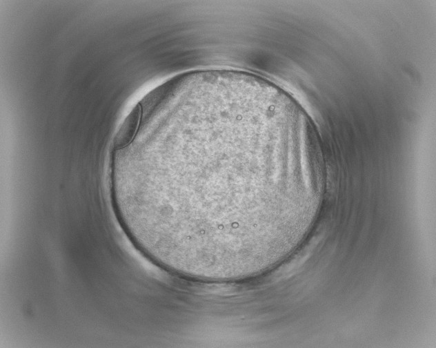 X0000115191387200911181439