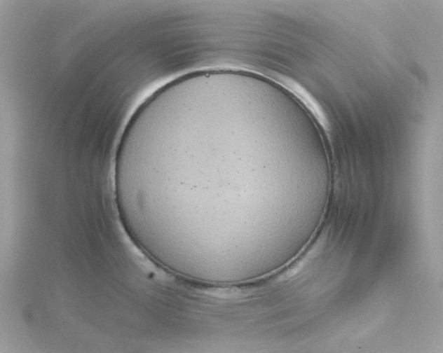 X0000115191388200911181439