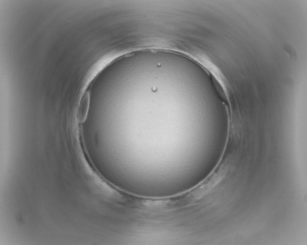 X0000115191389200911181439