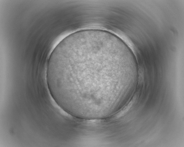 X0000115191390200911181439