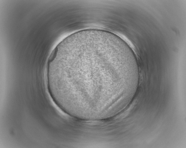 X0000115191391200911181439