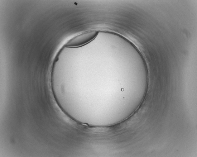 X0000115191392200911181439