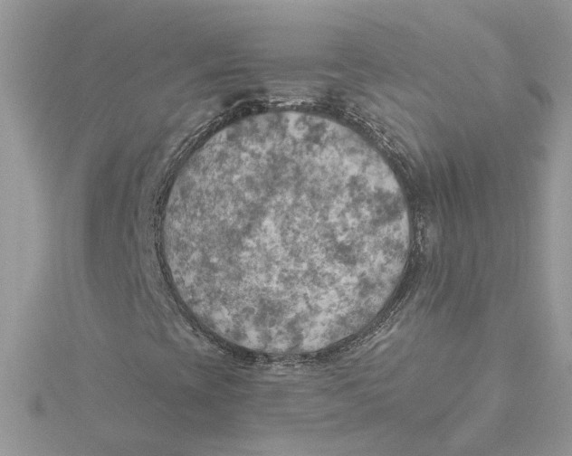 X0000115191393200911181438