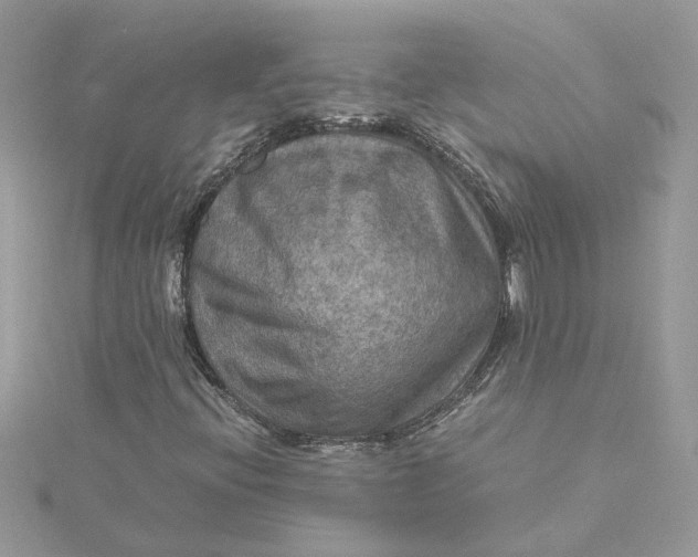 X0000115191396200911181438