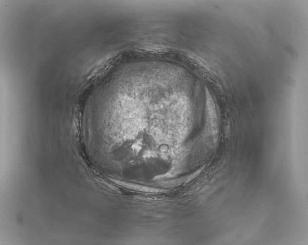 X0000115191397200911181438