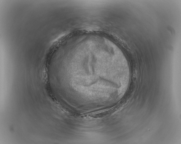 X0000115191398200911181438