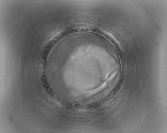 X0000115191399200911181438