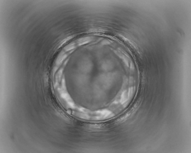 X0000115191401200911181438