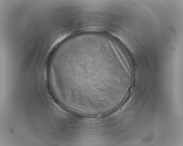 X0000115191402200911181438