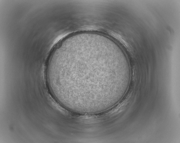 X0000115191404200911181438