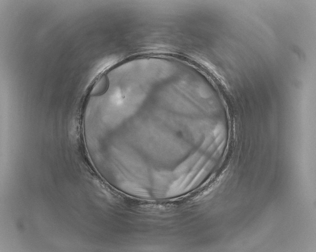 X0000115191405200911181438