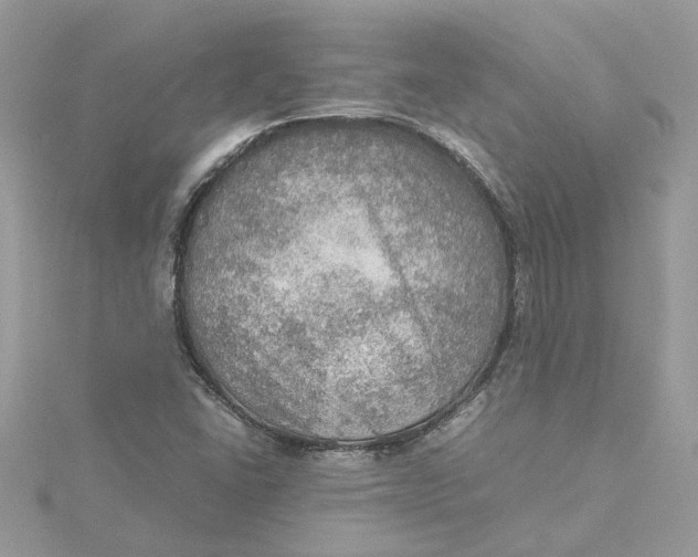 X0000115191406200911181438