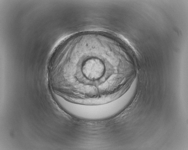 X0000115191408200911181438