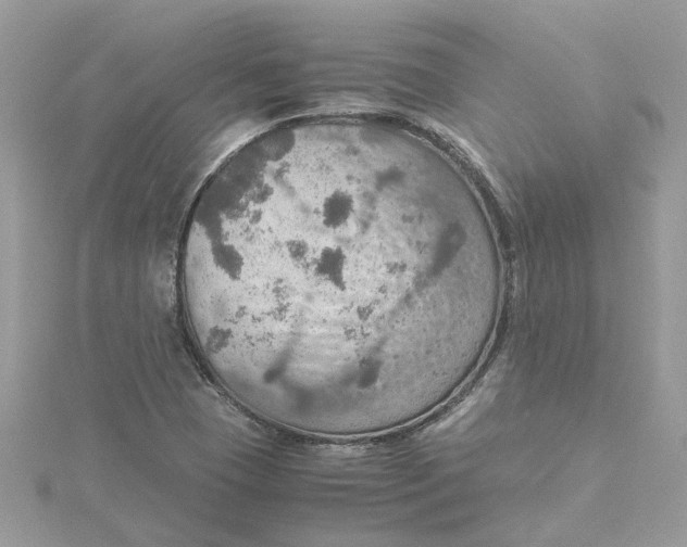 X0000115191409200911181438