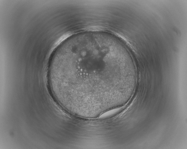 X0000115191410200911181438