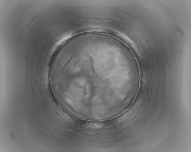 X0000115191411200911181438