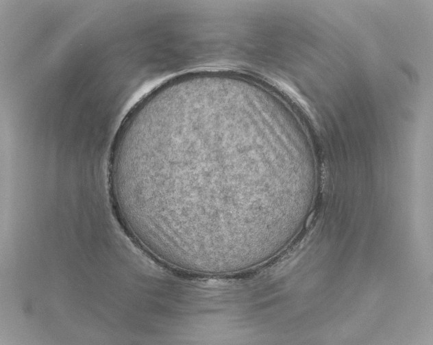 X0000115191412200911181438