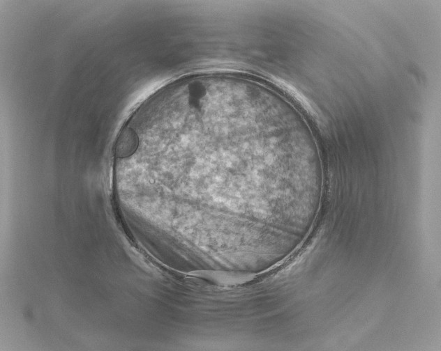 X0000115191413200911181438