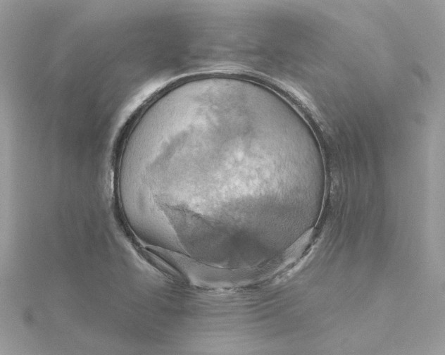 X0000115191414200911181438