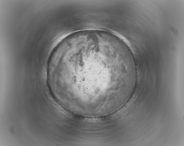 X0000115191415200911181438