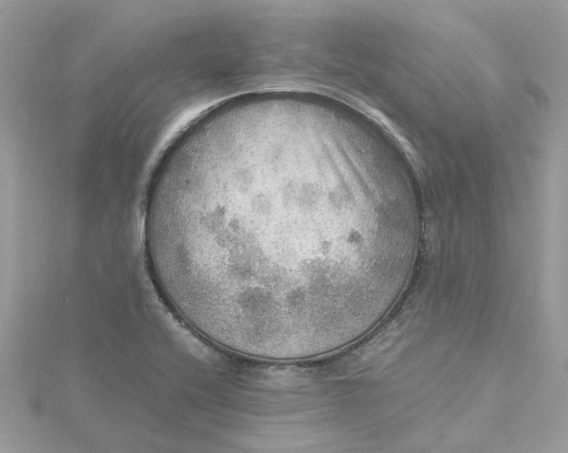 X0000115191416200911181438