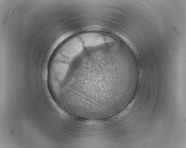 X0000115191418200911181438