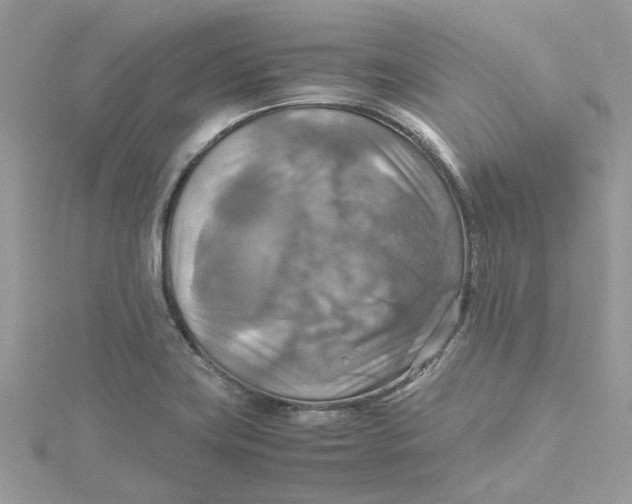 X0000115191419200911181438