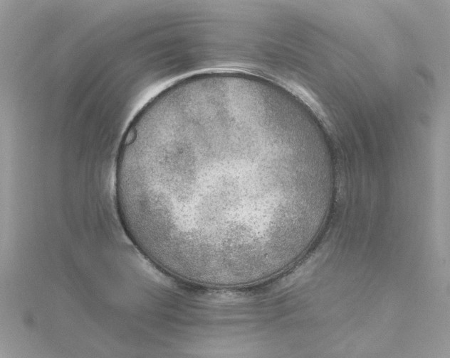 X0000115191420200911181438