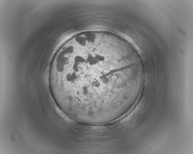 X0000115191421200911181438