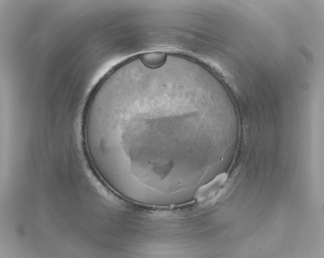 X0000115191422200911181438