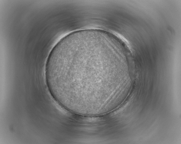 X0000115191423200911181438