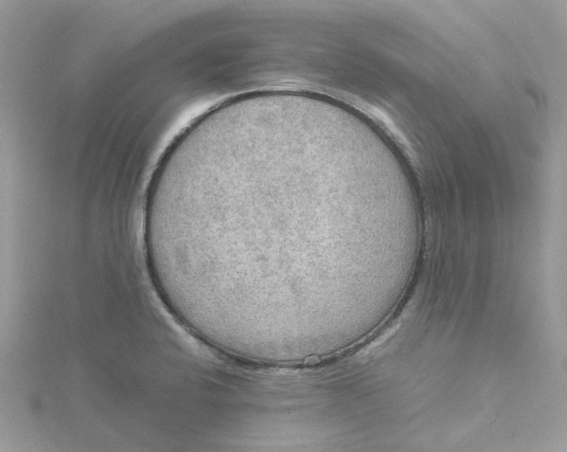 X0000115191424200911181438