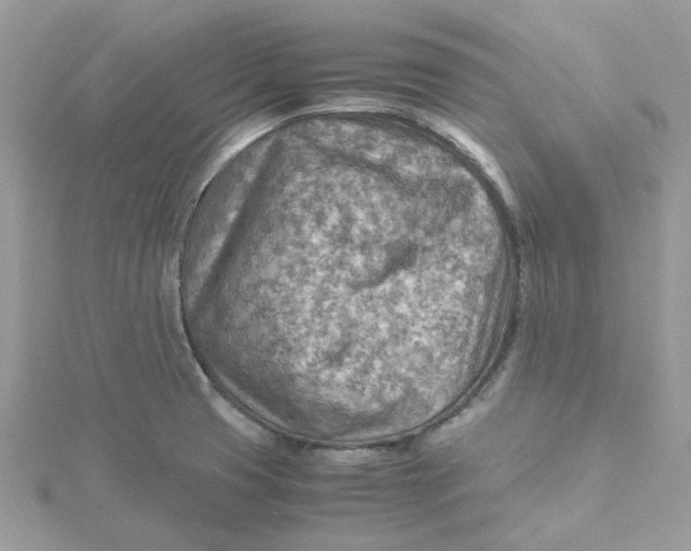 X0000115191425200911181438