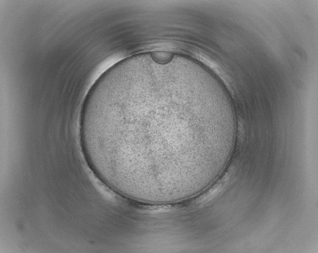 X0000115191426200911181438