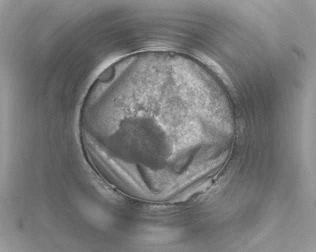 X0000115191427200911181438