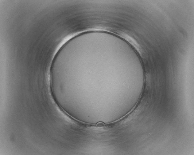 X0000115191428200911181438