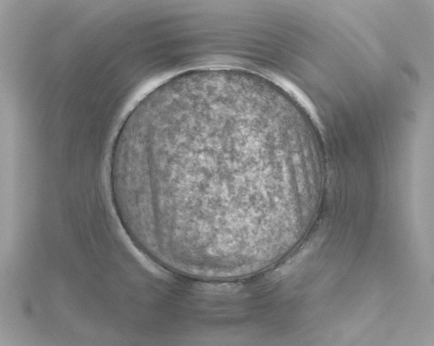 X0000115191429200911181439