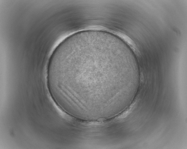 X0000115191430200911181439