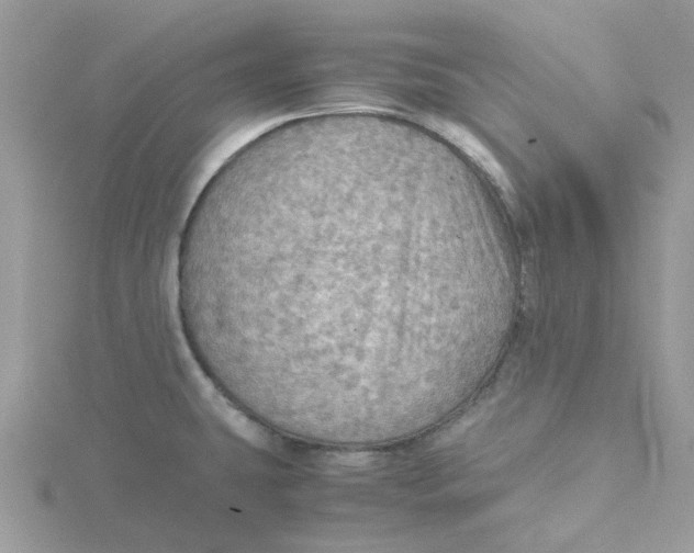 X0000115191431200911181439