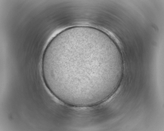 X0000115191432200911181439